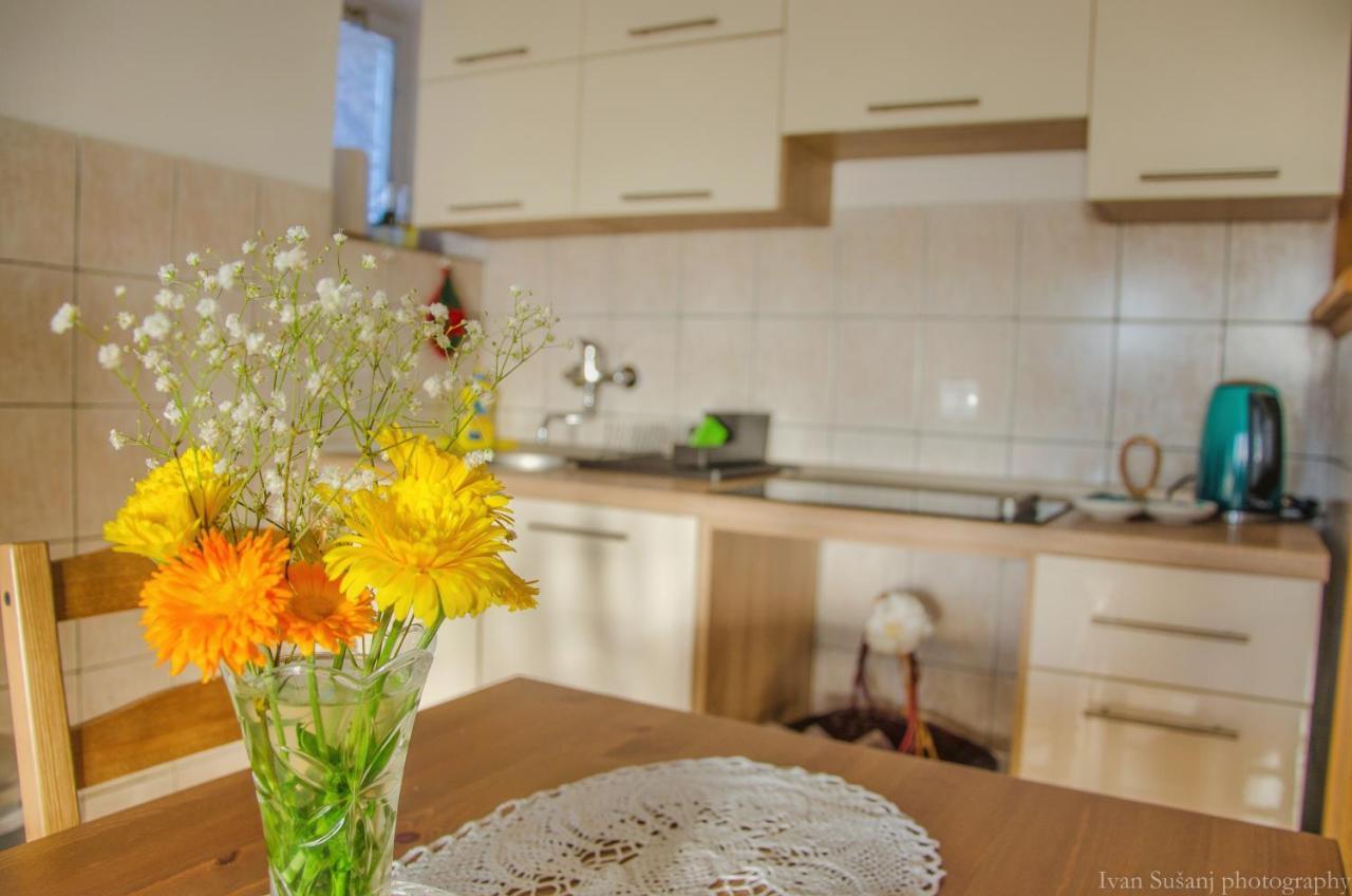 Apartment Rasce أوغولين المظهر الخارجي الصورة
